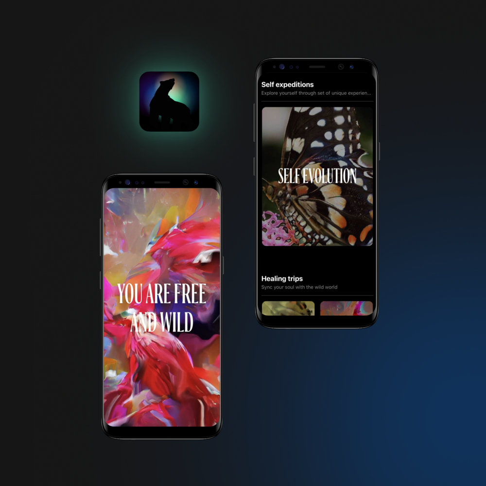 Выпустили редкое приложение с конверсией 12,37%